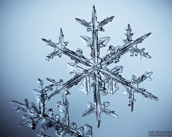 Snowflake - 2 by ak87
