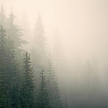 misty mountain weather 9 by JasonKaiser