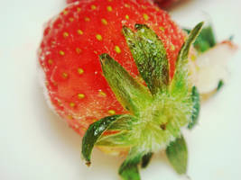 Ichigo Bliss II by xXhellangelXx