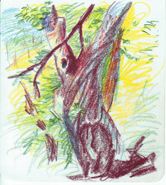 Old tree - Saddleback by monking