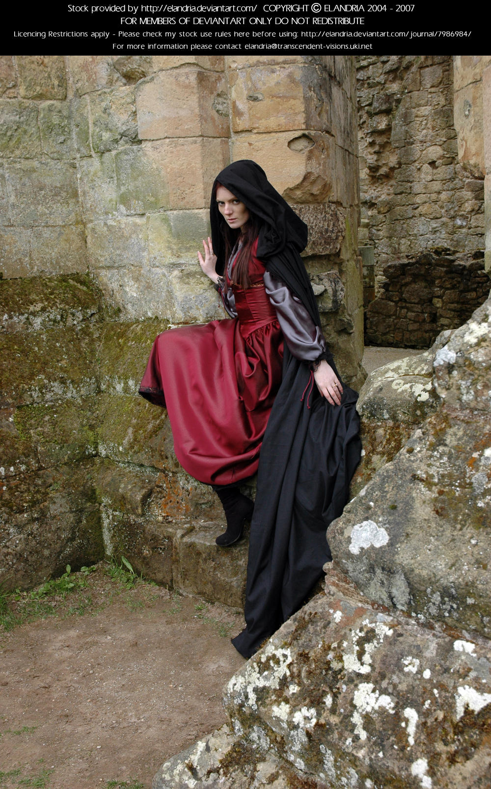 Rievaulx Abbey Ind Red 37 by Elandria