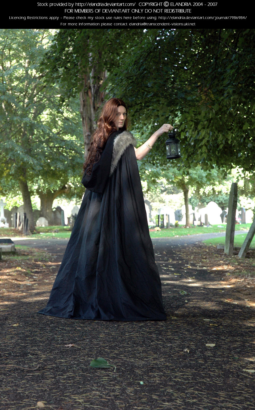 Victorian Ind 4 by Elandria