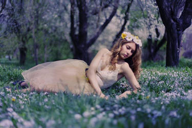 somewhere in my dreams by TheAutumnLeaves