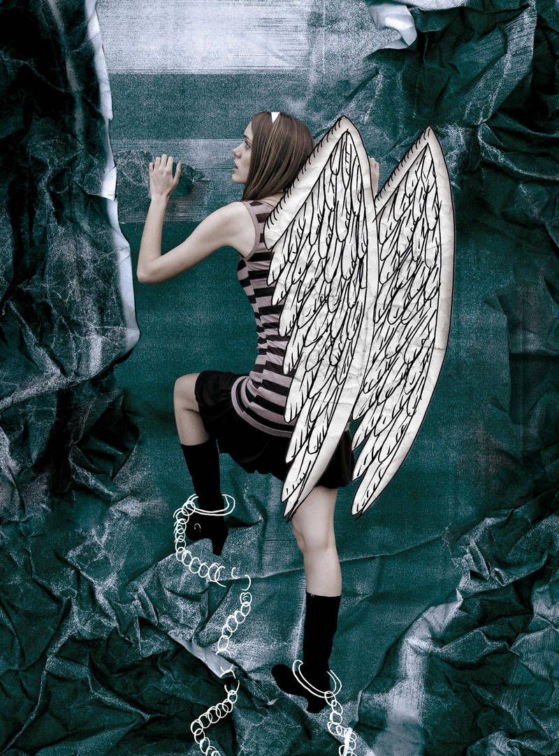 Fallen Angle by Hemi-427