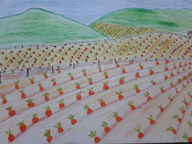 paisaje (sembrarios) by linaaventurera