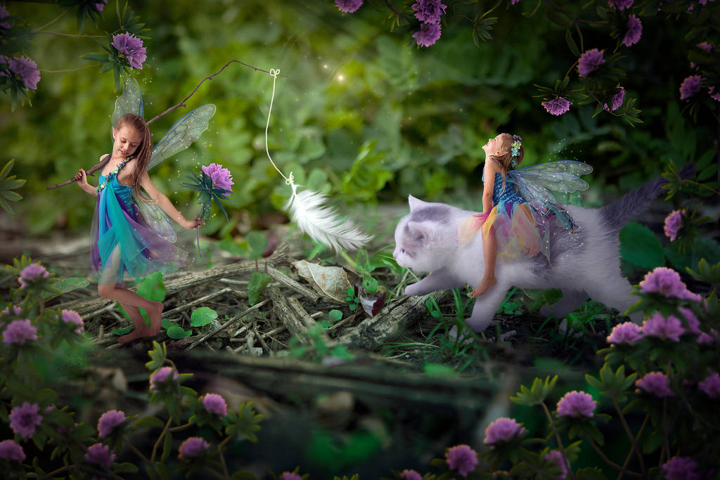 Here Kitty Kitty II by deathbycanon Here Kitty Kitty II by deathbycanon