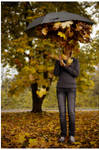 Fall... by billysphoto