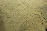 cracked floor stock texture by wickedgame5