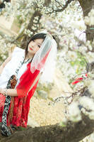 Flower Field by adrian-airya