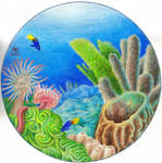 Reef by robertsloan2