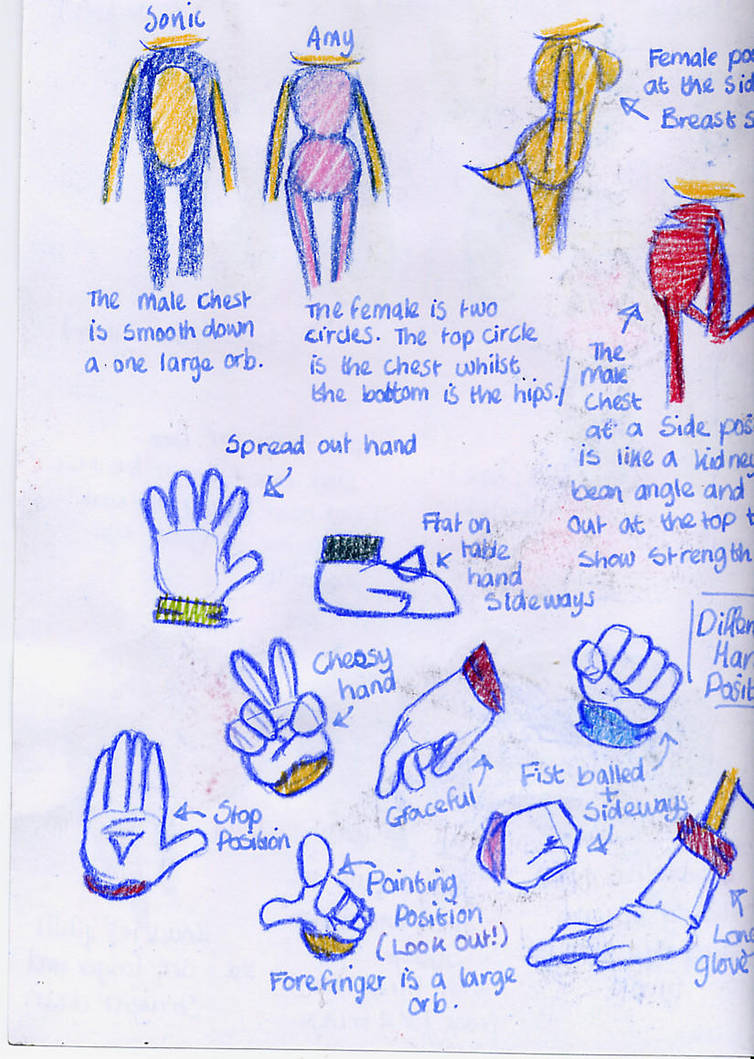 How to draw Sonic's Body? by DawnHedgehog555 on DeviantArt