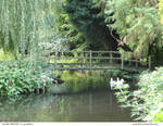 Norfolk BRIDGE 13_quaddles by quaddles