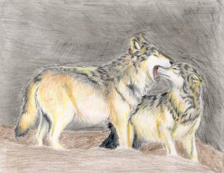 Wolf Reprimand WIP by Ara-Tun
