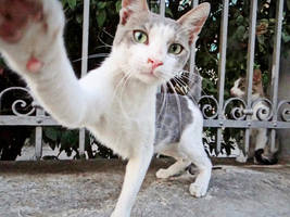 selfie by BL00DYSunflowers