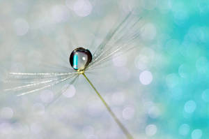 autumn rain by photofairy autumn rain by photofairy