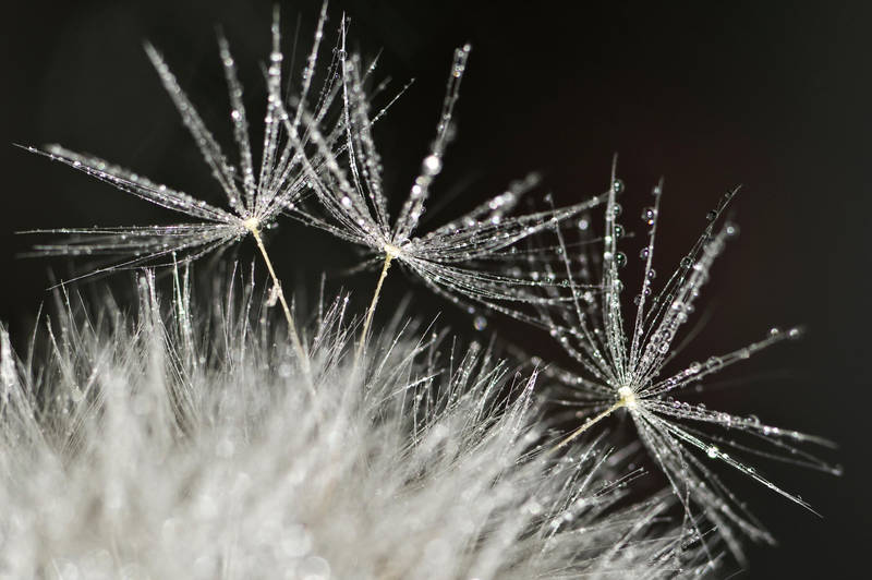 glitter by photofairy glitter by photofairy
