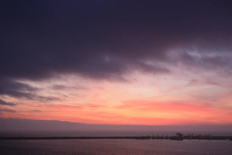 Purple morning by CAStock