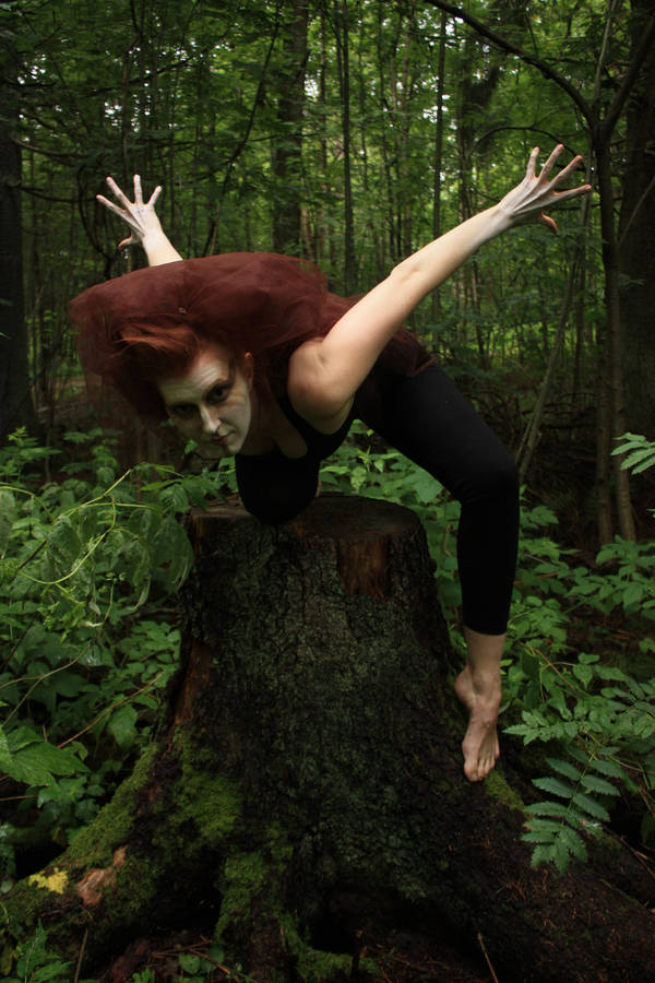 Wild 5 by CAStock