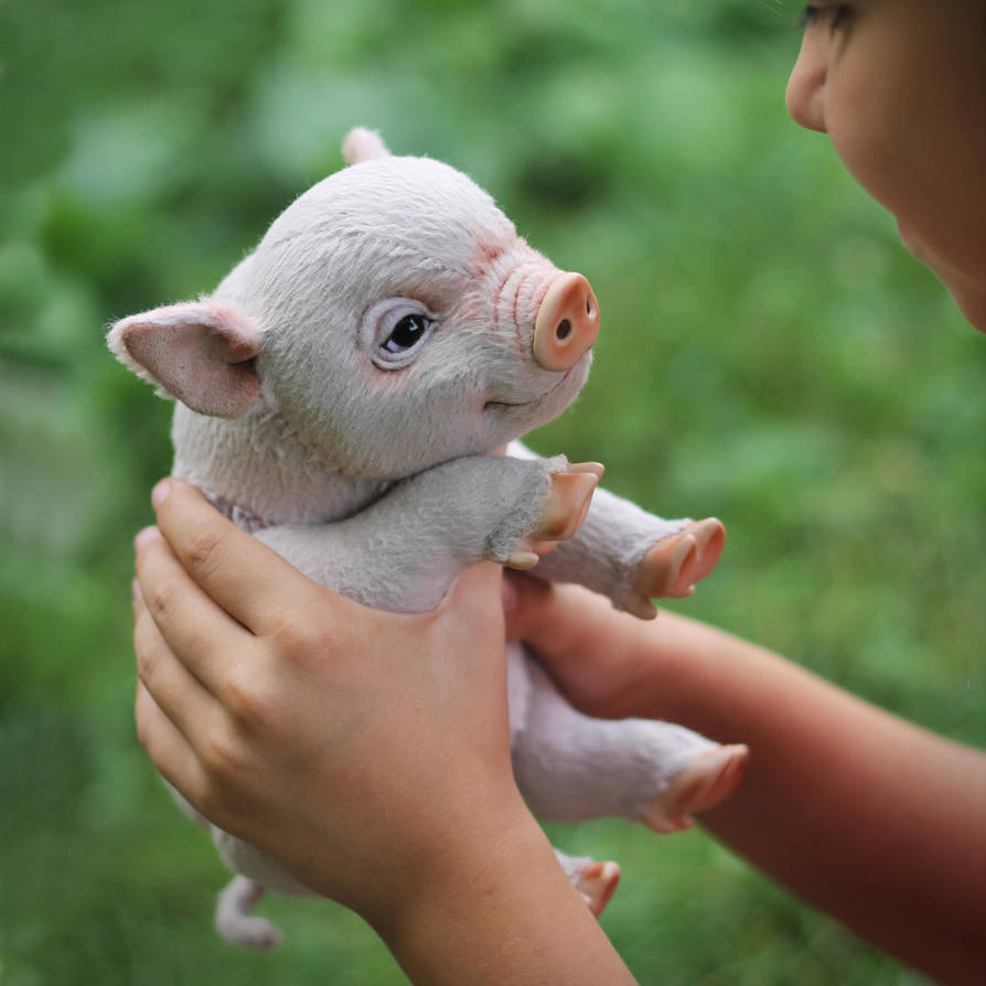 MiniPig [stuffed toy] by Irentoys on DeviantArt