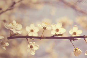 don't wake me up... I by xmagdax