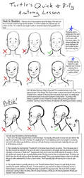 Q+D Anatomy Lessons- Neck and Shoulders by Turtle-Arts