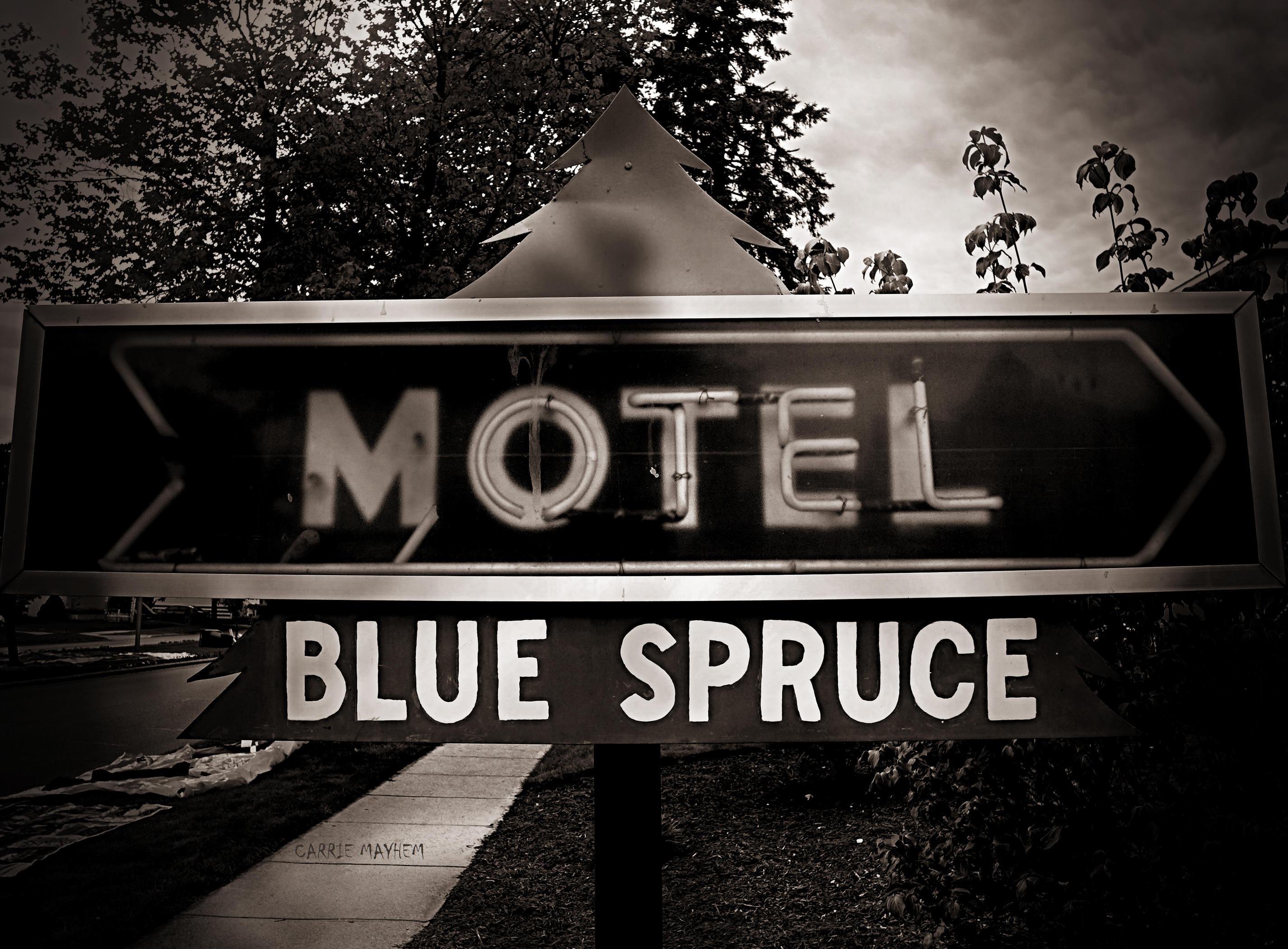 Blue Spruce Motel by carriepage
