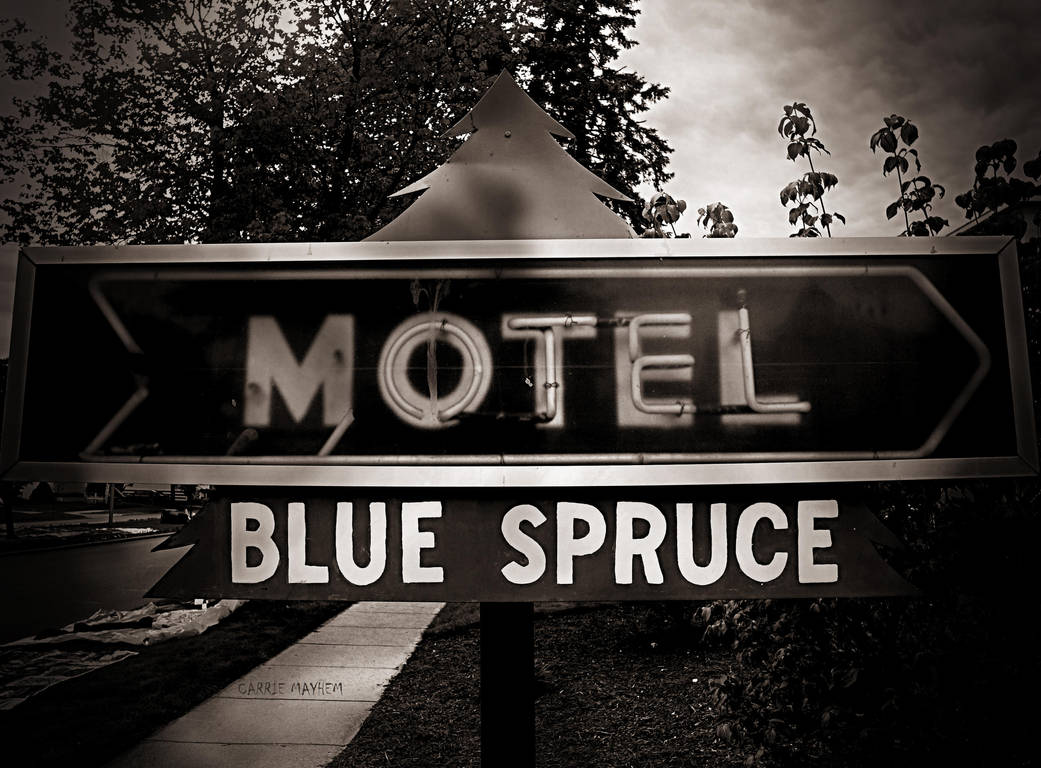 Blue Spruce Motel by carriepage