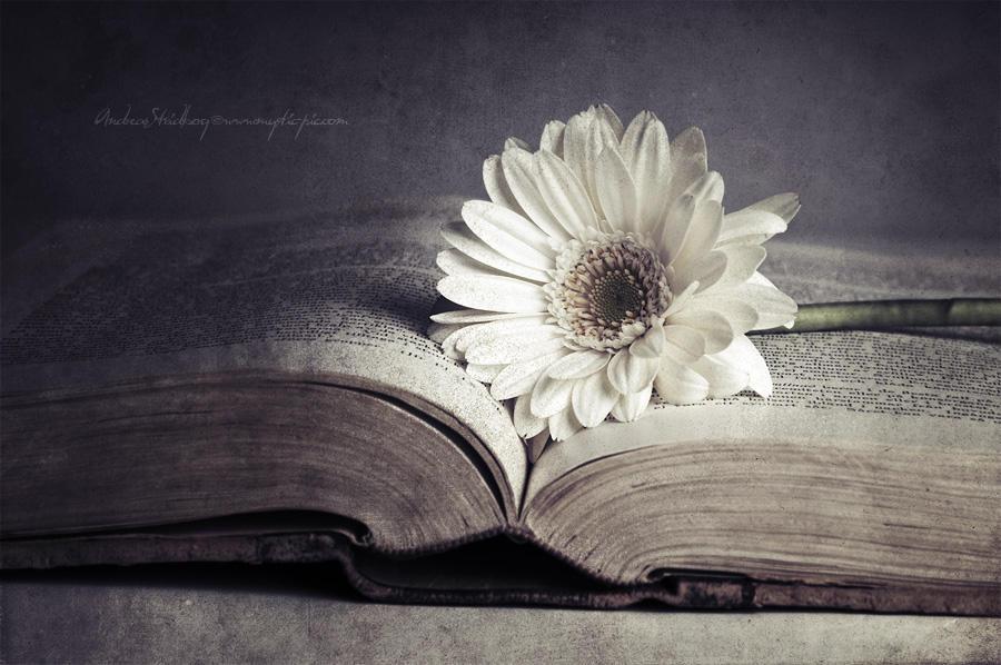 Poetry by Stridsberg