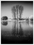 three kings IR by neoloonatic