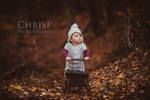autumn walk by C-h-r-i-s-P