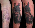 horse by RGarabal