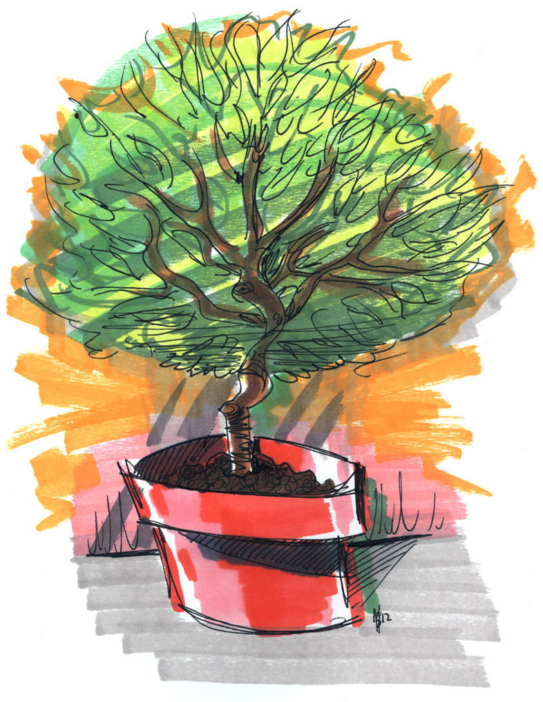 Shrub Sponsor by jesseaaah