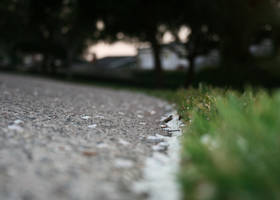 springtime by shineyx