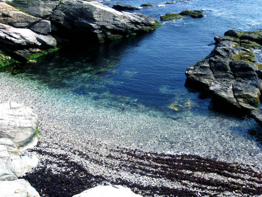 Rocky Beach by InvaderTigerstar