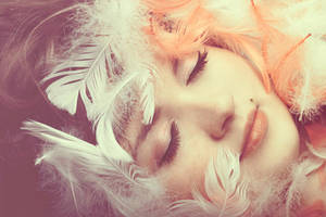 feathers. by dorguska