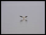 Landing in Infinity by CitizenOlek