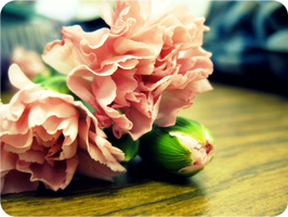 Budding Future by mysteriouseye