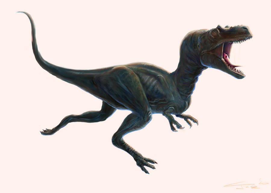 Albertosaurus redux by Zainy7