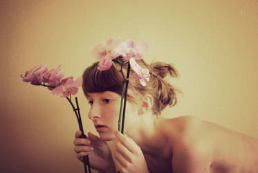 she's a pilot in my mind by bwoo