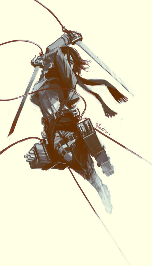 Mikasa In Flight by spacecoyote