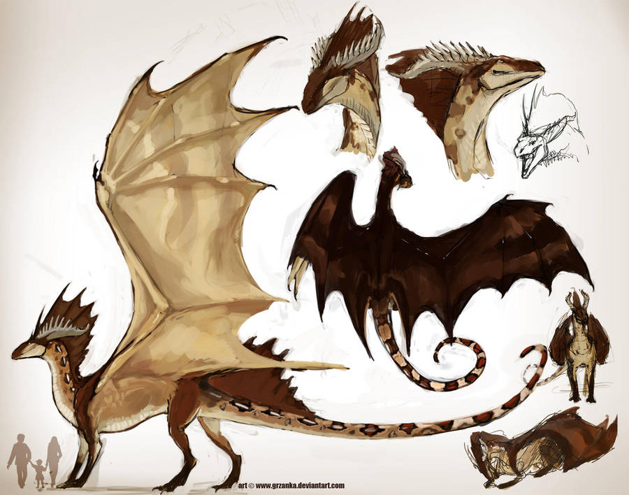 Redtailed Dragoness ref by grzanka