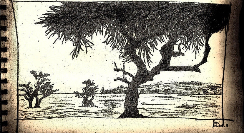 Tree on the Savannah by assignation