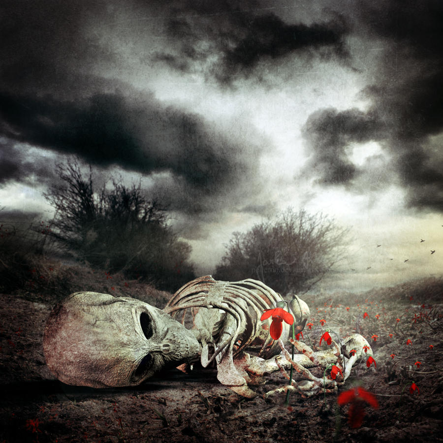 Cycle Of Life by pelleron