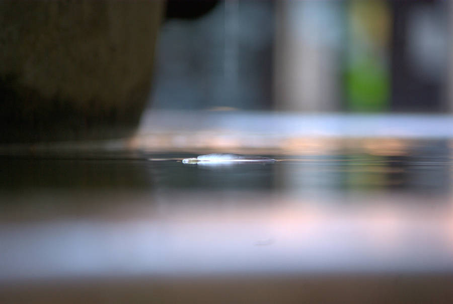 Floating Feather 2 by TheConstructor