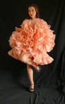 tutu barbie cancan by magikstock