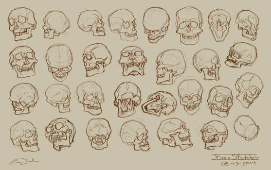 30 - 2min Skull Studies by charfade