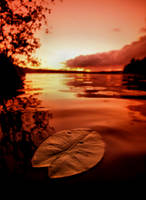 cryin by KariLiimatainen