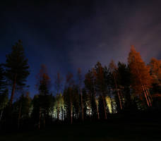 strange lights in the woods by KariLiimatainen