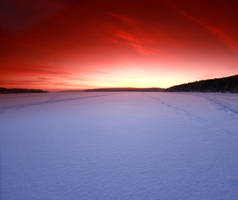 follow me to wonderland by KariLiimatainen