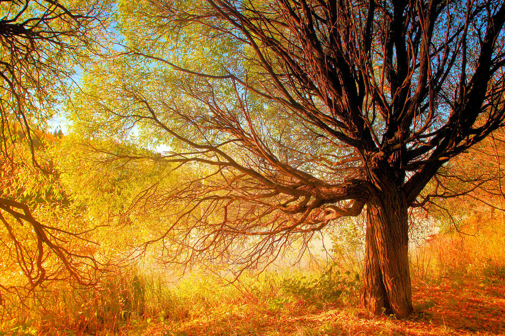 Hope by KariLiimatainen
